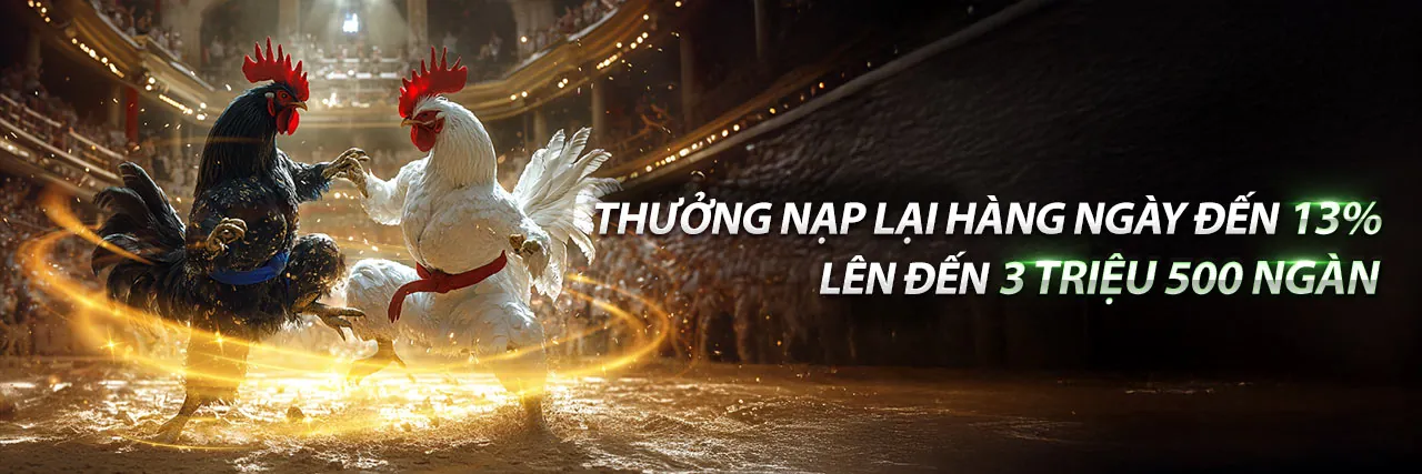 Đá Gà Thomo Hôm Qua Trận Cuối